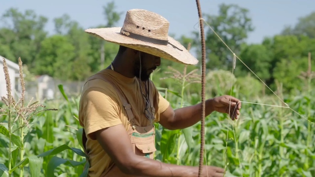 From the farm to Emeril’s kitchen: Farmer Jones delivers the best collards and produce